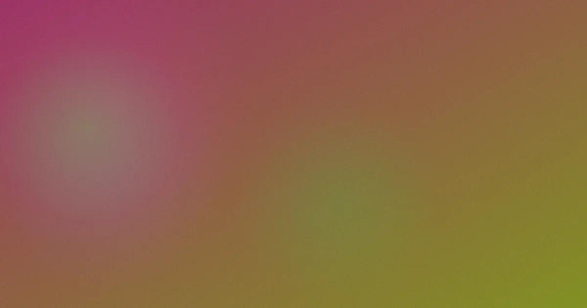 仲夏对比：一次观影复盘